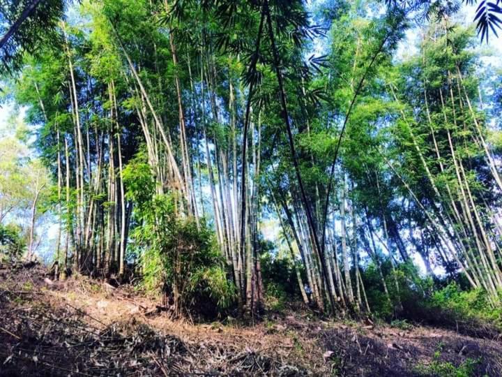 Wisma Kelimutu Ende Ngoại thất bức ảnh